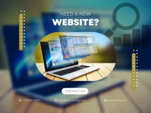 Jasa pembuatan website profesional