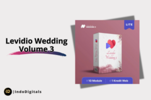 Levidio Wedding Volume 3